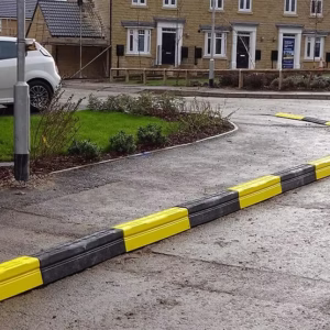 Installed along the edge of a paved area in a residential setting